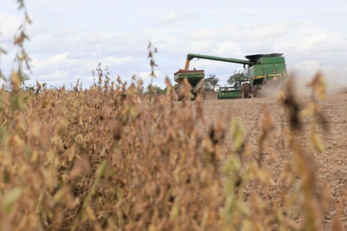 Bolivia’s Farmers Hope Election Will End Fuel Shortages and Revive the Economy
