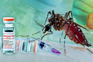 Brazil Approves World’s First Single-Dose Dengue Vaccine