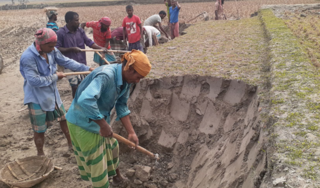 brick kilns destroy agricultural topsoil in four districts Brick Kilns Destroy Agricultural Topsoil in Four Districts