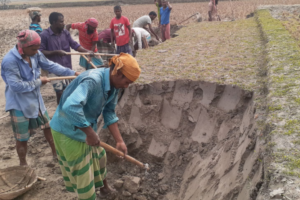 Brick Kilns Destroy Agricultural Topsoil in Four Districts