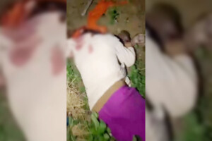 Brutal Double Murder in Barlekha: Chhatra League Leader’s Father and Uncle Killed, Several Injured