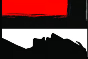 Brutal Murder of Teenage Auto-Rickshaw Driver in Noakhali