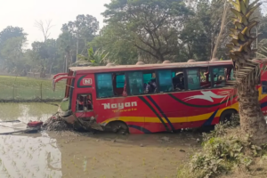 Bus Carrying Wedding Guests Plunges, 20 Injured