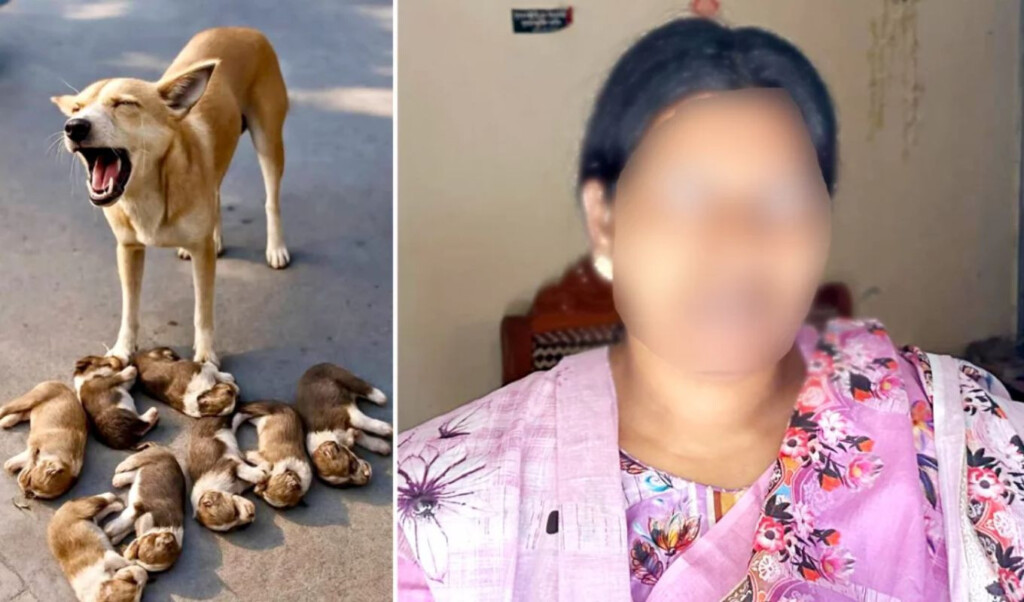 case filed over drowning of eight puppies in ishwardi Case Filed Over Drowning of Eight Puppies in Ishwardi