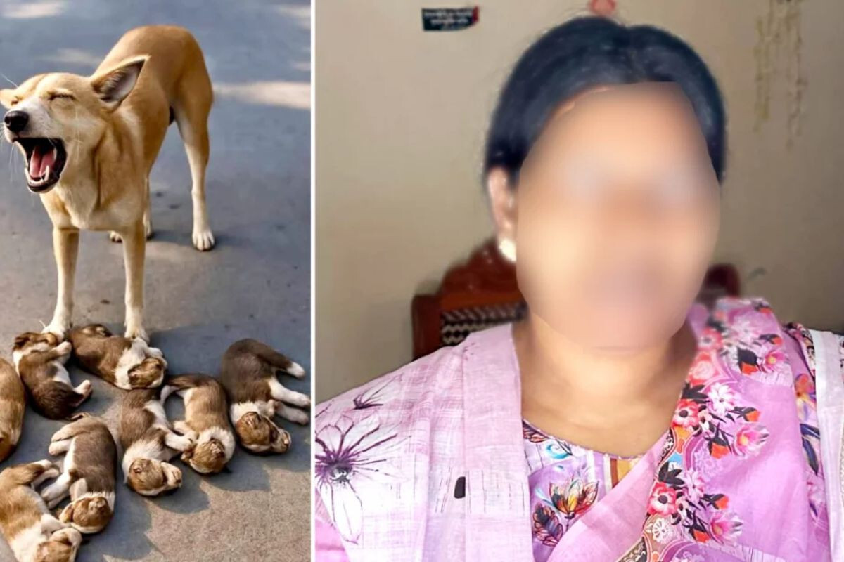 Case Filed Over Drowning of Eight Puppies in Ishwardi