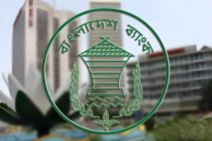 Central Bank Tightens Oversight on Large Loans