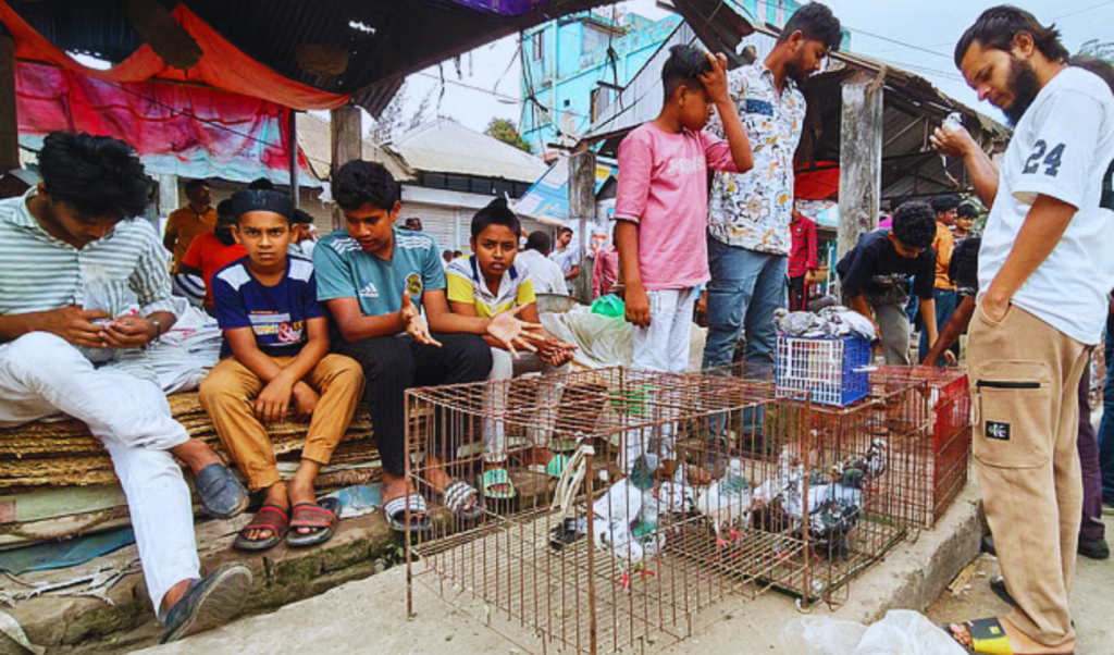 century old village market sells pigeons Century-Old Village Market Sells Pigeons