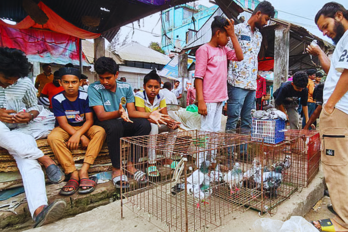 Century-Old Village Market Sells Pigeons