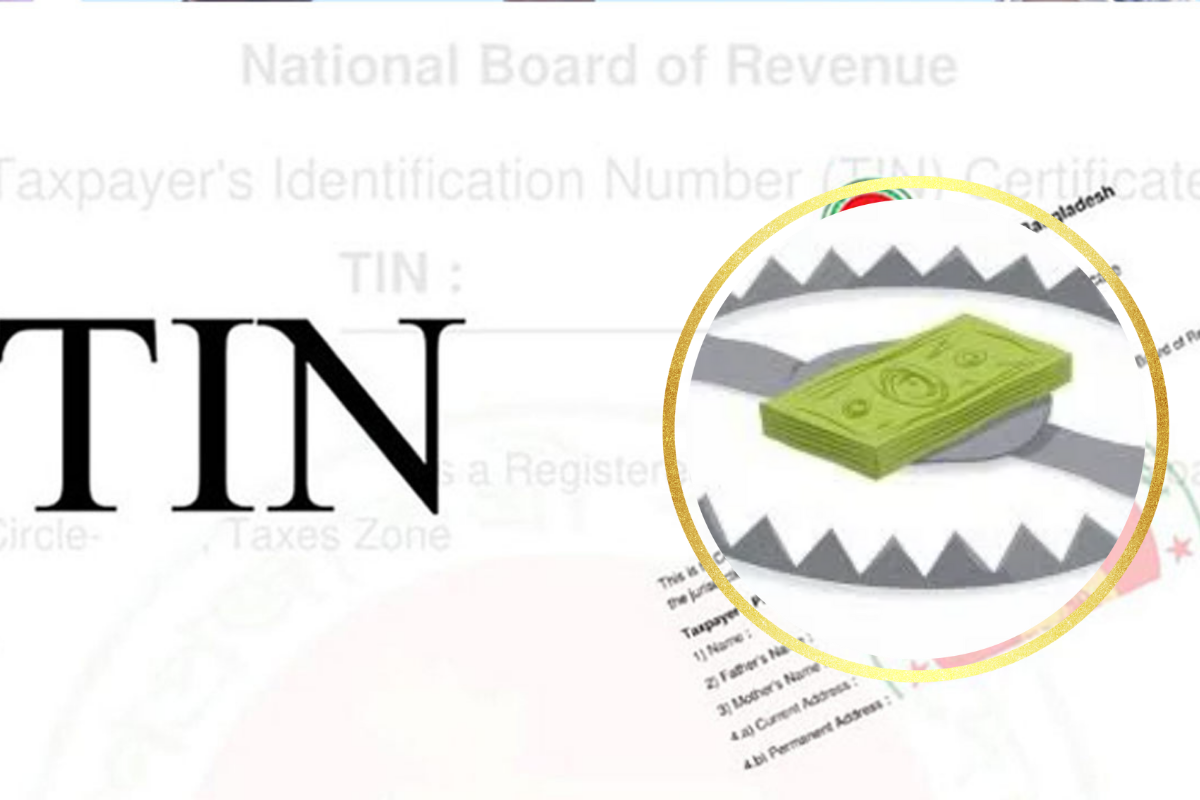 “Chasing Dollars, Facing Dangers: The TIN Trap”