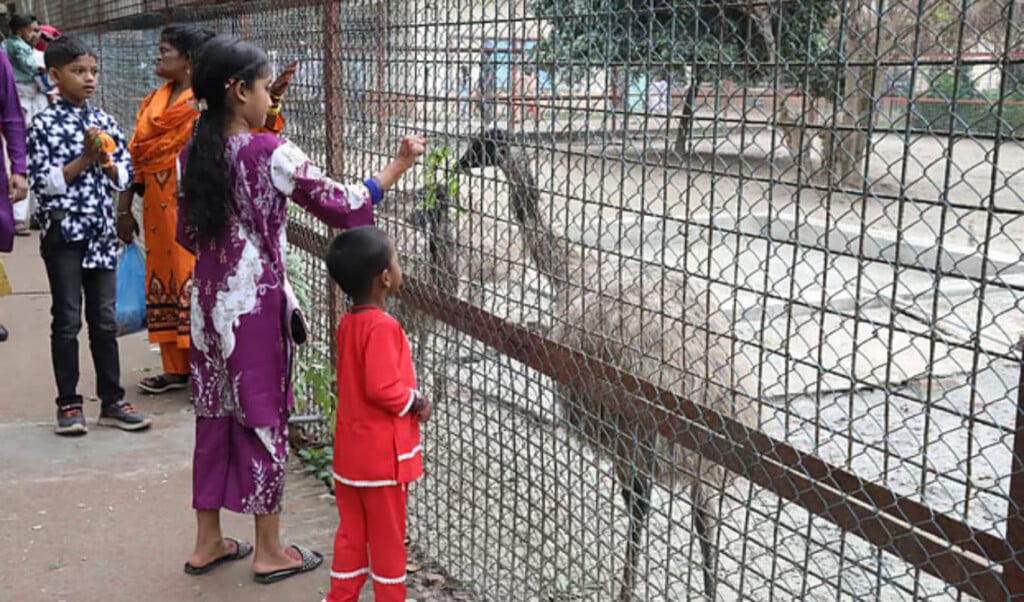 childrens delight at dhaka zoo on eid Children’s Delight at Dhaka Zoo on Eid