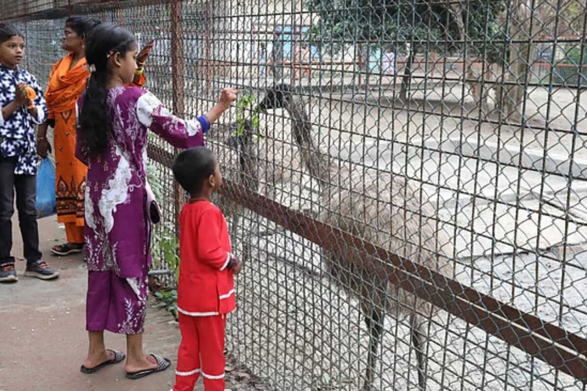 Children’s Delight at Dhaka Zoo on Eid