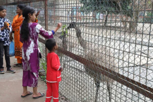 Children’s Delight at Dhaka Zoo on Eid