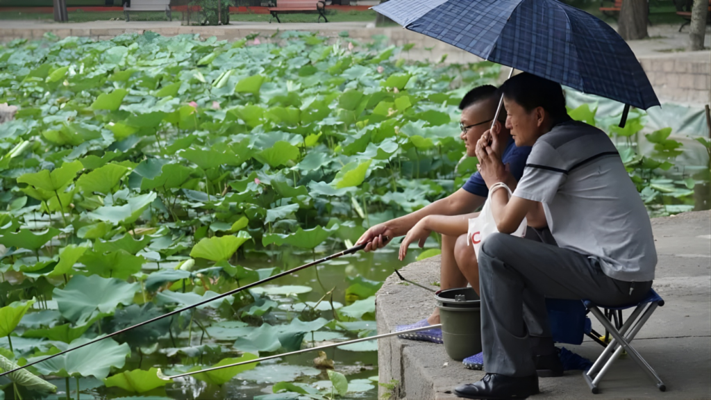 Chinese Insurers Expand Digital Solutions for Customised Coverage 2 chinese insurers expand digital solutions for customised coverage Chinese Insurers Expand Digital Solutions for Customised Coverage