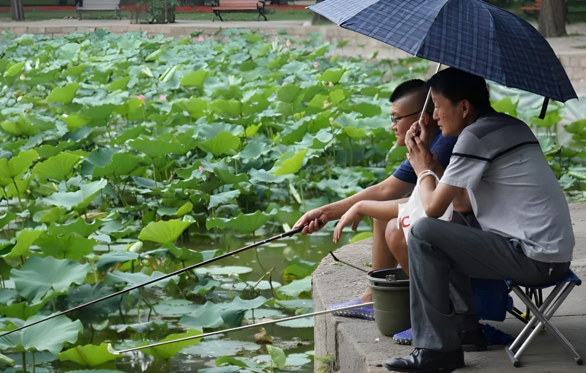 Chinese Insurers Expand Digital Solutions for Customised Coverage