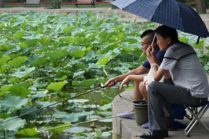 Chinese Insurers Expand Digital Solutions for Customised Coverage