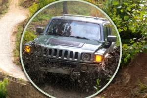 Chinese Son Sentenced to Death for Murdering Mother in Insurance Scam