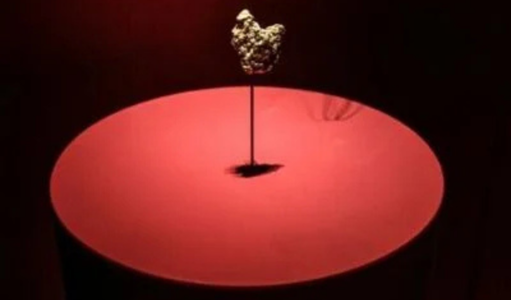 chinese woman charged over gold theft at paris natural history museum Chinese Woman Charged Over Gold Theft at Paris Natural History Museum