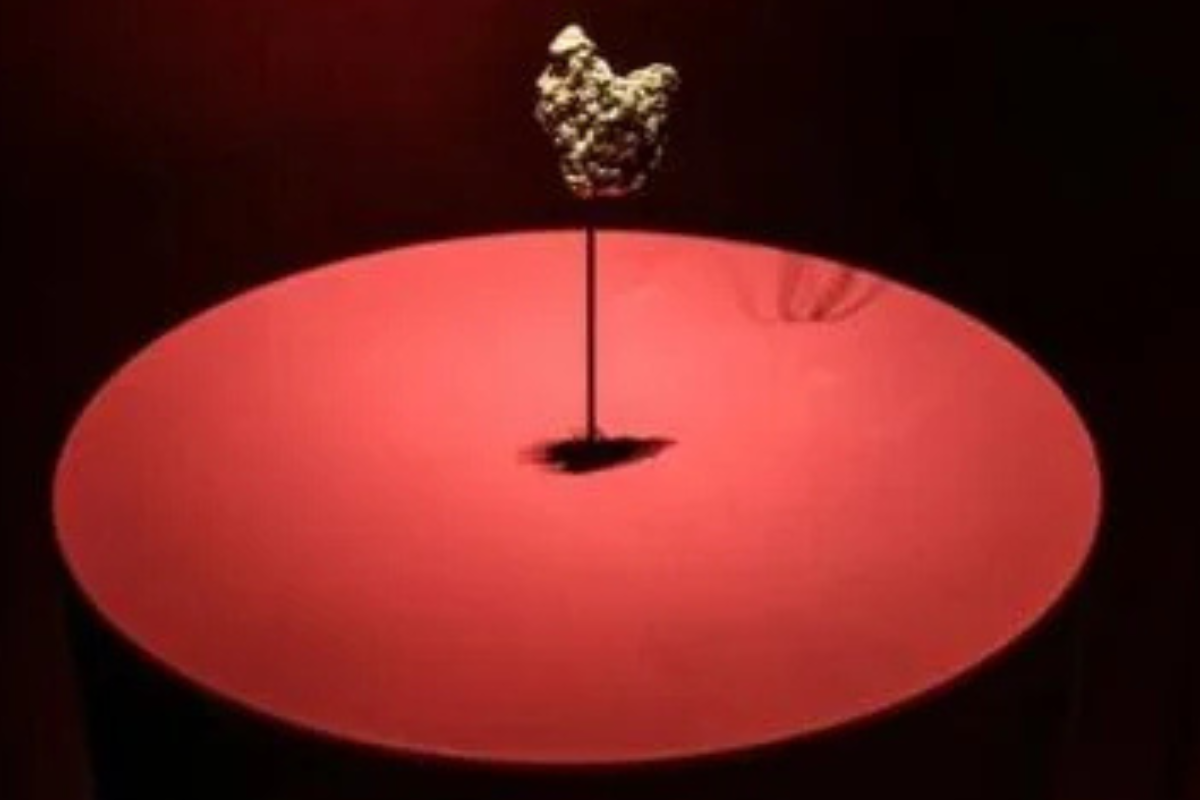 Chinese Woman Charged Over Gold Theft at Paris Natural History Museum