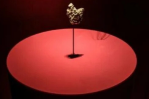 Chinese Woman Charged Over Gold Theft at Paris Natural History Museum