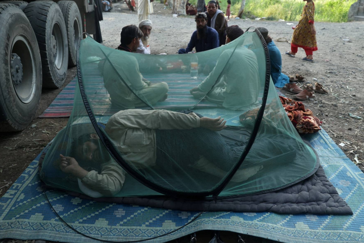 Climate and Population Threaten Global Malaria Progress