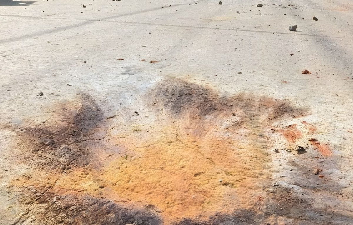 Cocktail Explosion Sparks Panic at Dhaka’s Hatirjheel Area