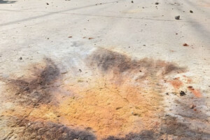 Cocktail Explosion Sparks Panic at Dhaka’s Hatirjheel Area