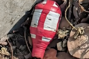 Cocktail-like Object Found Behind BNP Office