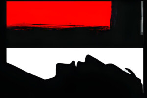 Cousin Kills Van Driver in Pabna Robbery Attempt