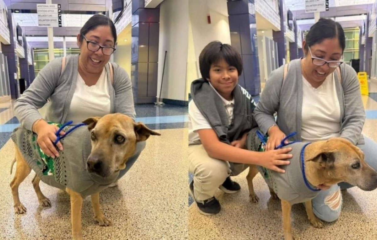 Decade-Long Search Ends as Microchip Reunited Lost Dog