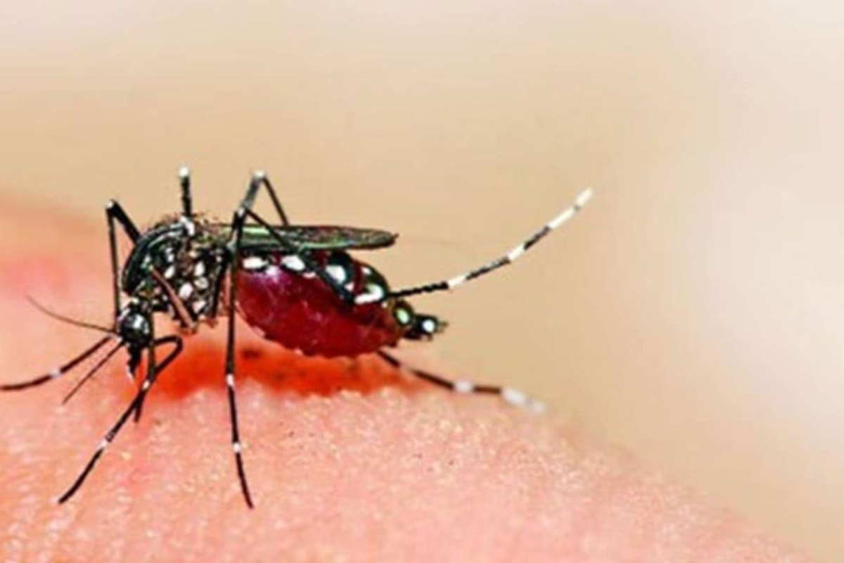 Dengue Devastates a Family