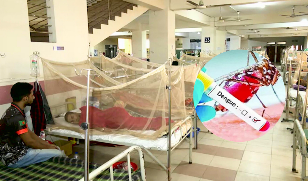 dengue situation worsens with eight deaths in 24 hours Dengue Situation Worsens with Eight Deaths in 24 Hours