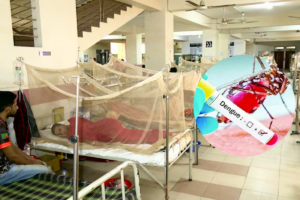 Dengue Situation Worsens with Eight Deaths in 24 Hours