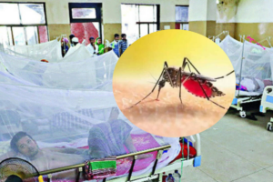 Dengue Situation Worsens with Rising Admissions