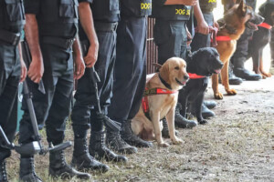 Dhaka Secures City with 16,000 Police, RAB Personnel