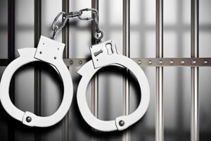 DMP Arrests 28 Within 24-Hours In Operation Devil Hunt