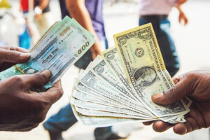 Dollar and Currency Rates Show Minor Fluctuations