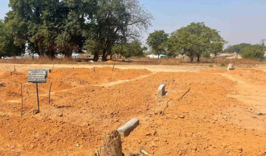 dozens of civilians killed in niger airstrikes witnesses report ‘Dozens’ of Civilians Killed in Niger Airstrikes, Witnesses Report