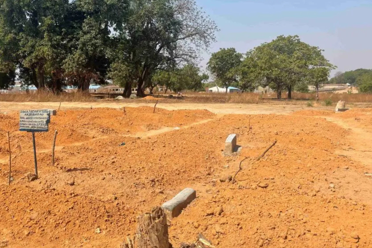 ‘Dozens’ of Civilians Killed in Niger Airstrikes, Witnesses Report