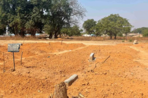 ‘Dozens’ of Civilians Killed in Niger Airstrikes, Witnesses Report