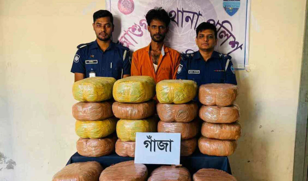 drug trafficker arrested in ashuganj with 120 kg of marijuana pickup seized Drug Trafficker Arrested in Ashuganj with 120 kg of Marijuana, Pickup Seized
