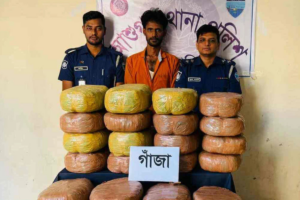 Drug Trafficker Arrested in Ashuganj with 120 kg of Marijuana, Pickup Seized