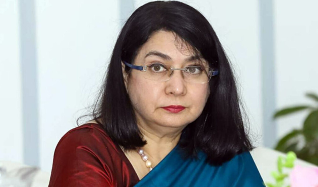 economic activity impossible under weak governance dr fahmida Economic Activity Impossible Under Weak Governance: Dr Fahmida