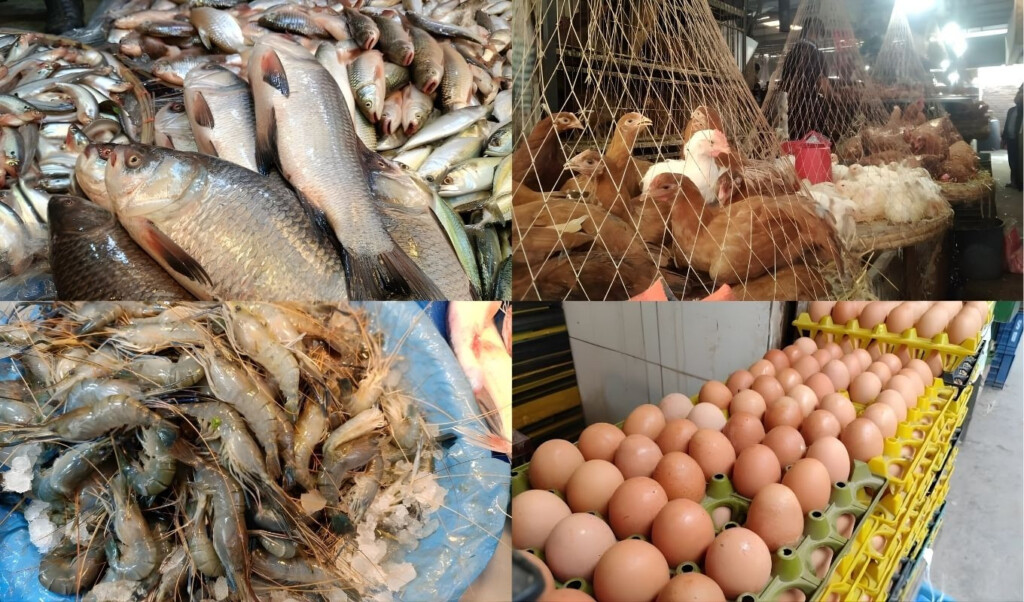 egg prices have fallen fish and chicken markets remain stable Egg prices have fallen, fish and chicken markets remain stable
