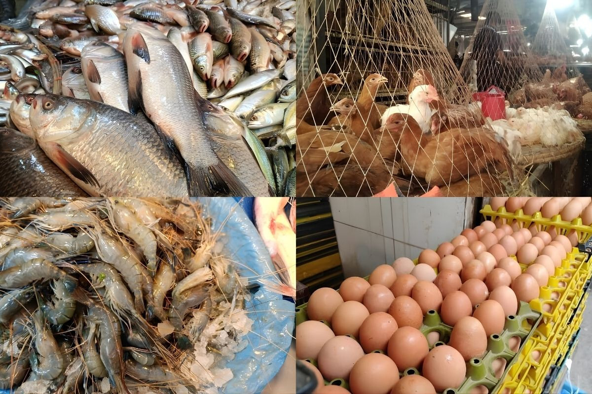 Egg prices have fallen, fish and chicken markets remain stable