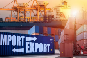 Exports Maintain Steady Momentum with 1.77pc Growth in November