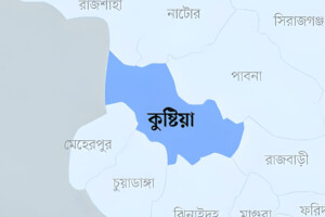 Farmer Shot Dead in Kushtia; Two Others Injured in Armed Attack