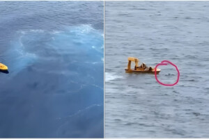 Father Died While Rescuing Daughter from Sea