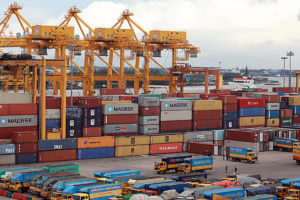 Fifteen Employees Transferred to Mongla, Payra