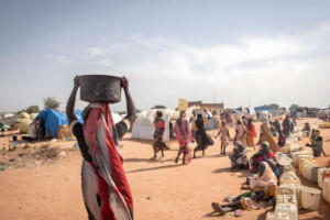 Fifty killed in a single night in terrorist attack in Nigeria