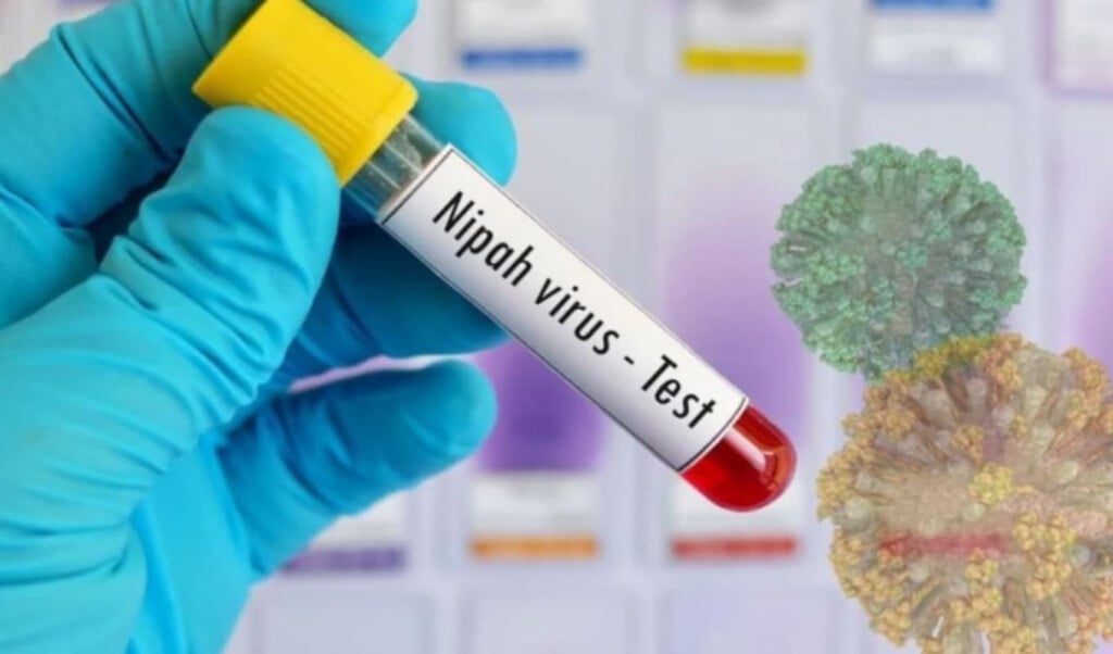 first nipa virus death reported in bangladesh First Nipa Virus Death Reported in Bangladesh